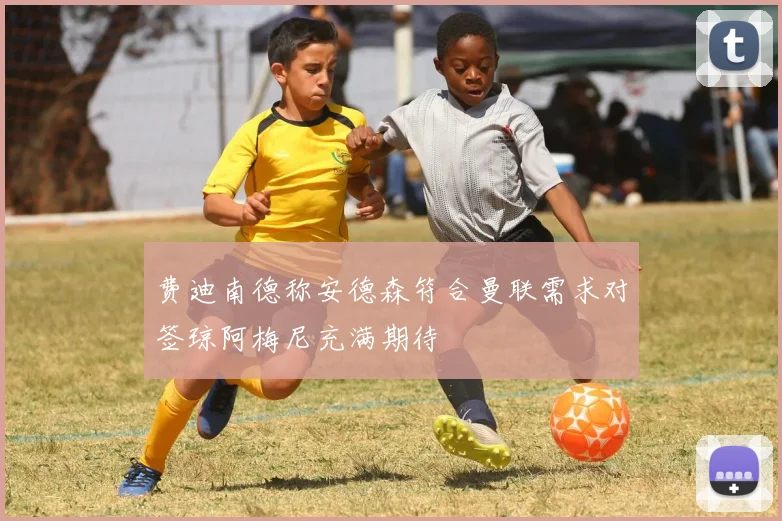 费迪南德称安德森符合曼联需求对签琼阿梅尼充满期待