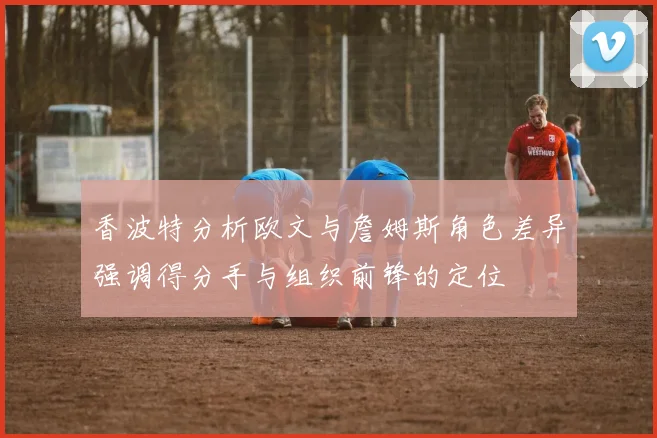 香波特分析欧文与詹姆斯角色差异强调得分手与组织前锋的定位