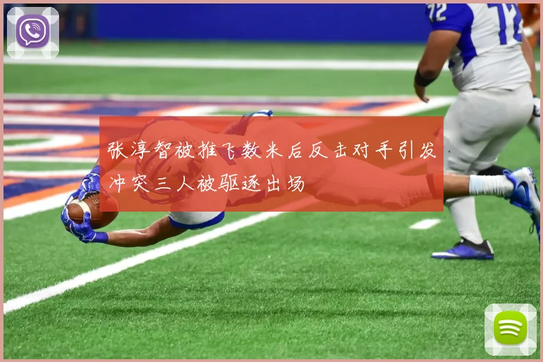 张淳智被推飞数米后反击对手引发冲突三人被驱逐出场